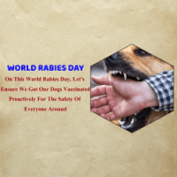 World Rabies Day