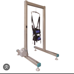 Gait Training biodex